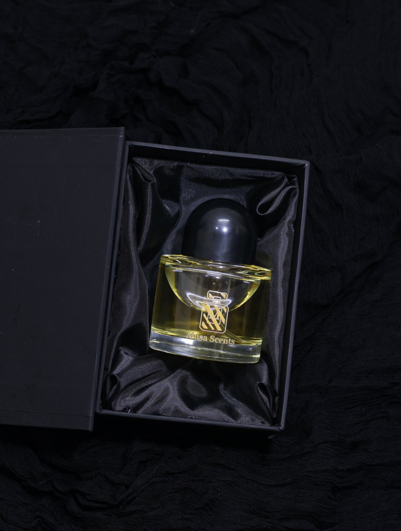 Jasmine Palm – By MUSA